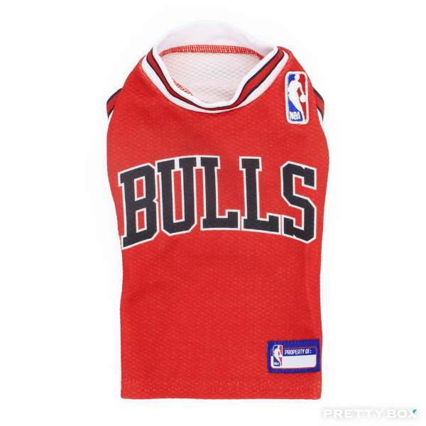 NBA Chicago Bulls芝加哥公牛寵物球衣(小型犬著用)- 5號
