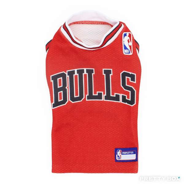 NBA Chicago Bulls芝加哥公牛寵物球衣(中至大型犬著用) - 6號